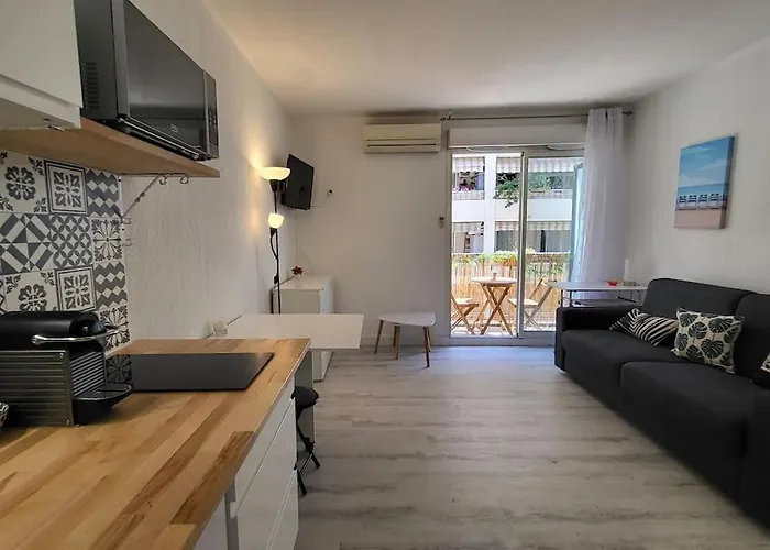 Tournesol De Appartement