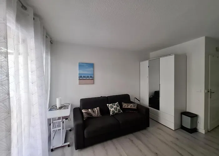 Tournesol De Appartement